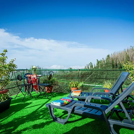 Thomas Дом отдыха